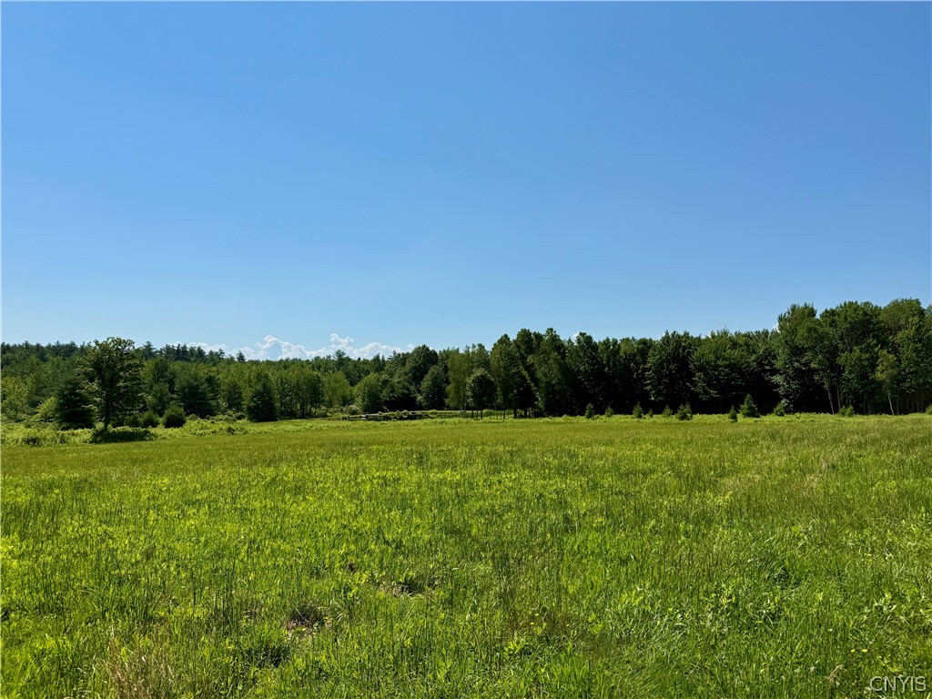 1888 Mulholland Road Vienna, NY 13042 - Photo 18 of 50