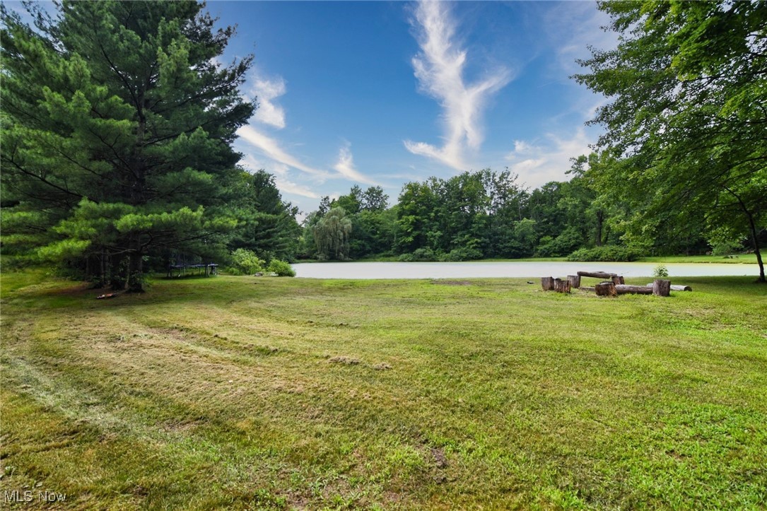 11060 Taylor May Road Chagrin Falls, OH 44023 - Photo 37 of 38 View of grassy yard featuring a water view and a forest view