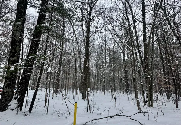 $42,000 | 0 Saux Lane, Big Rapids, MI 49307