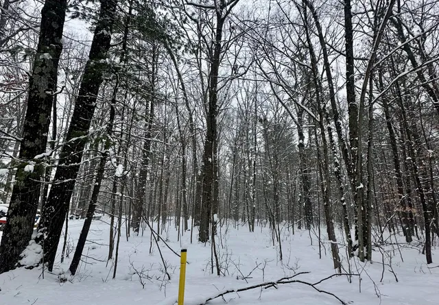 $42,000 | 0 Saux Lane, Big Rapids, MI 49307