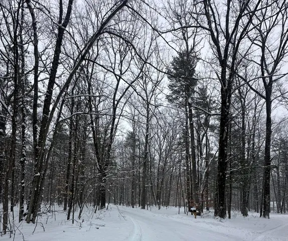 $42,000 | 0 Saux Lane, Big Rapids, MI 49307