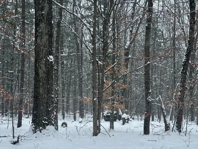 $42,000 | 0 Saux Lane, Big Rapids, MI 49307