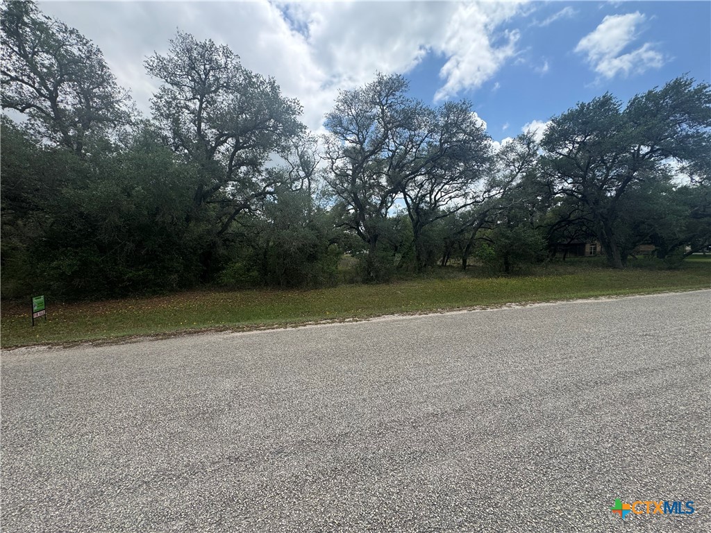511 Richter Road Inez, TX 77968 - Photo 2 of 7 a view of a field with trees