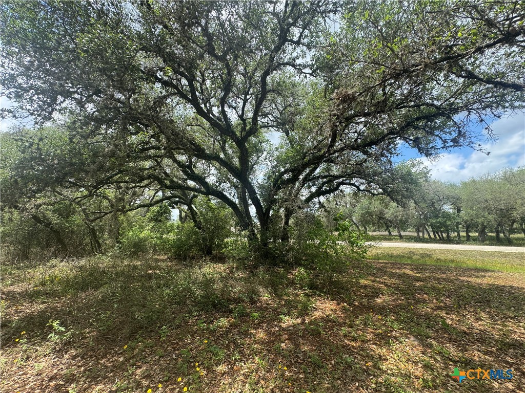 511 Richter Road Inez, TX 77968 - Photo 3 of 7 a view of outdoor space and yard