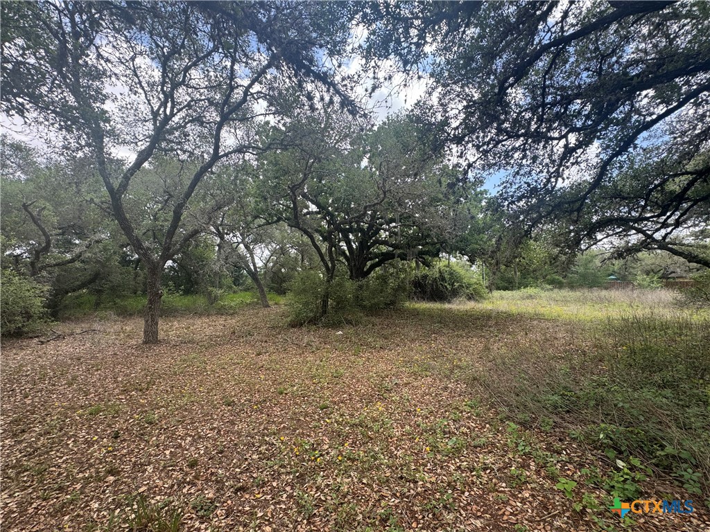 511 Richter Road Inez, TX 77968 - Photo 6 of 7 a view of outdoor space and tree