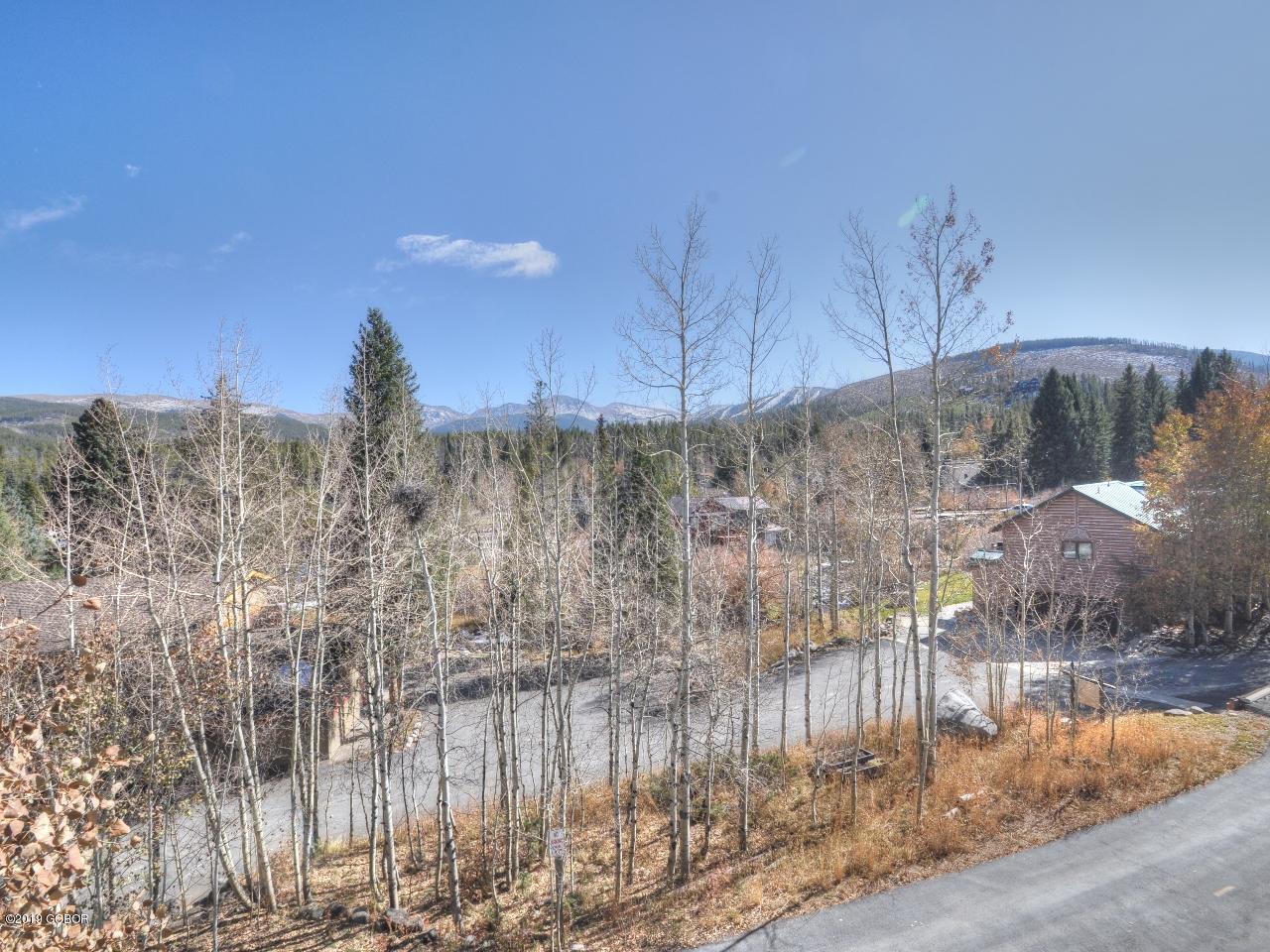 327 Vasquez Road, Unit D1 Winter Park, CO 80482 - Photo 9 of 13 9 view from master
