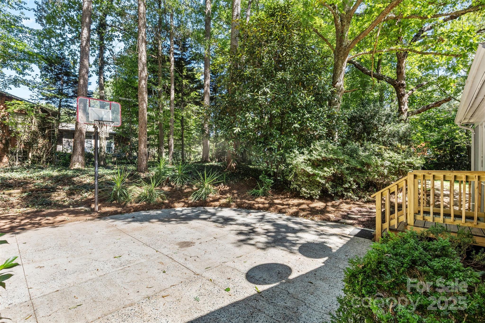 14024 Springwater Drive Matthews, NC 28105 - Photo 31 of 36 a view of a park with large trees