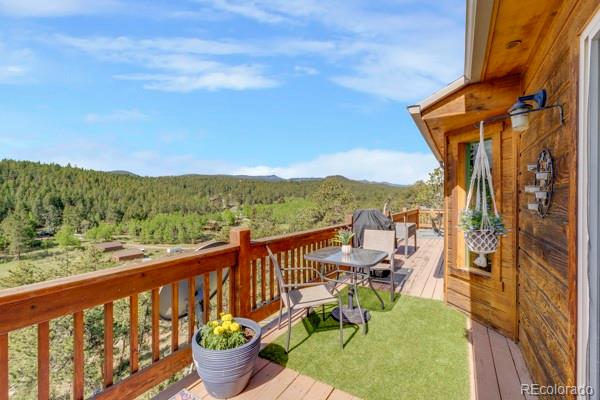182 Spruce Trail Bailey, CO 80421 - Photo 31 of 34