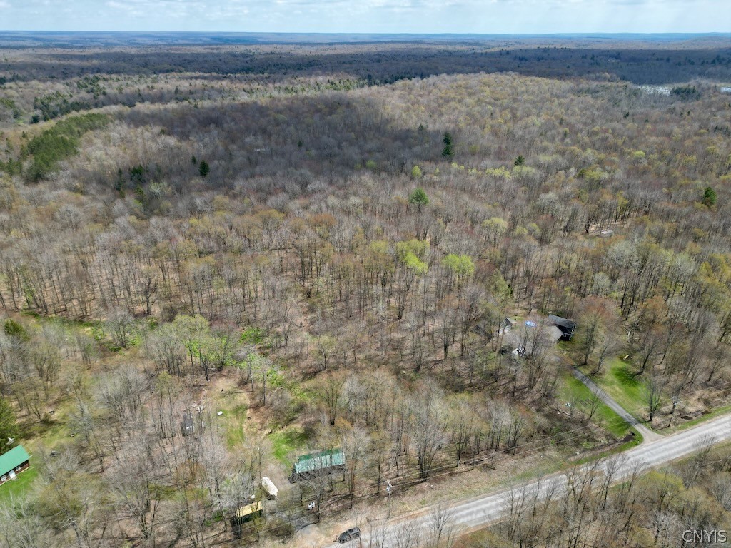 168 Carpenter Road Orwell, NY 13144 - Photo 39 of 43
