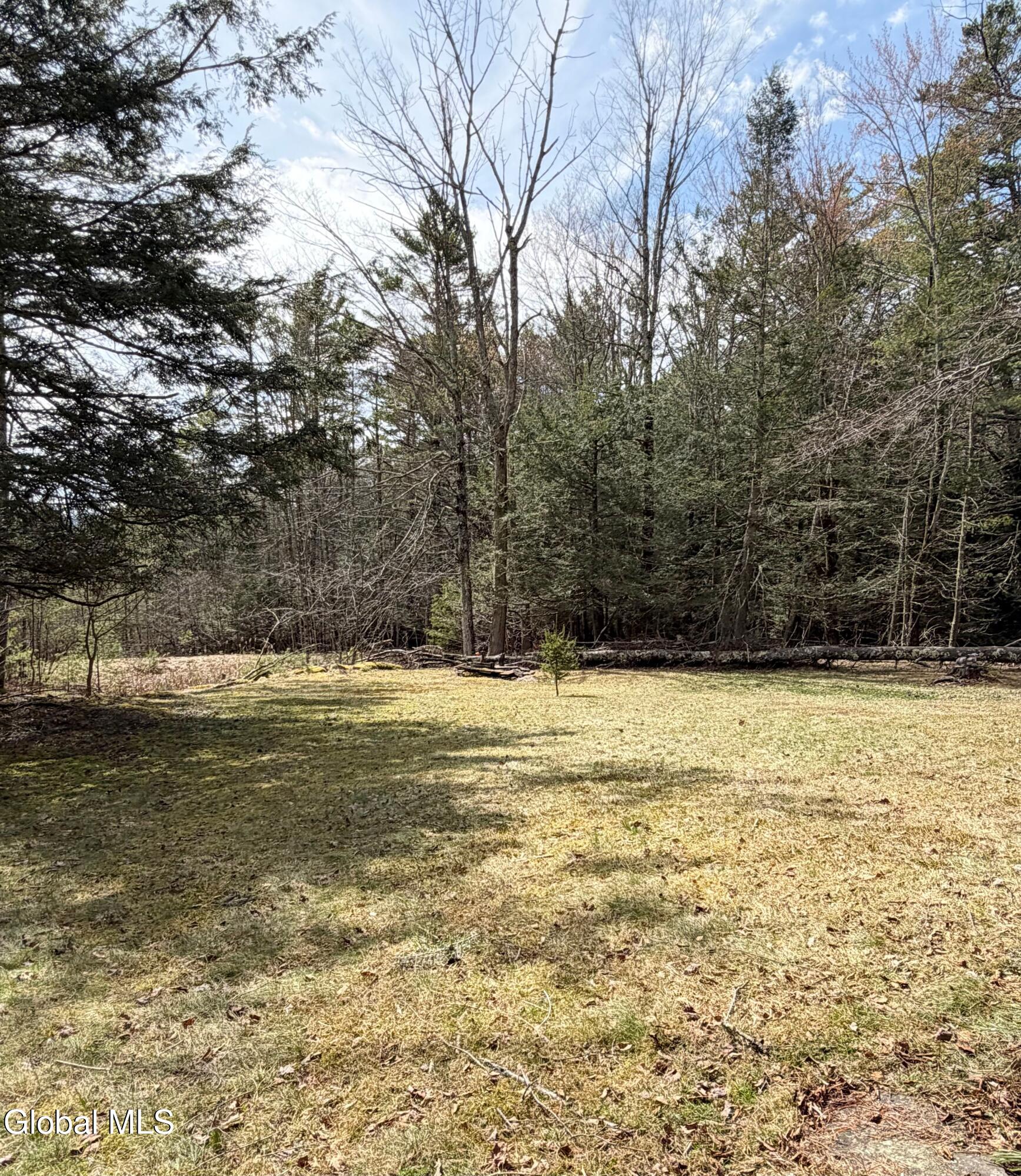 149 Peck Road Windham, NY 12454 - Photo 25 of 37 IMG_1337