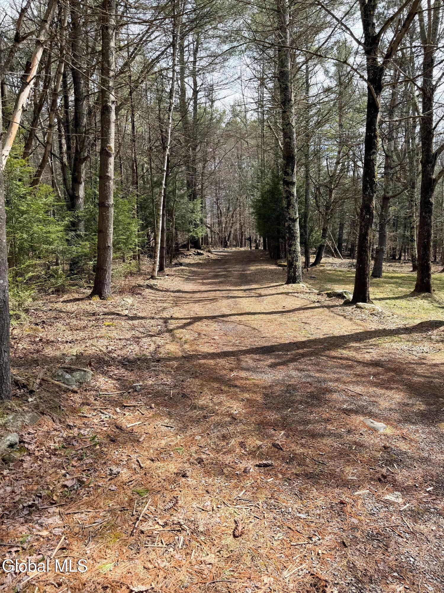 149 Peck Road Windham, NY 12454 - Photo 26 of 37 IMG_1342