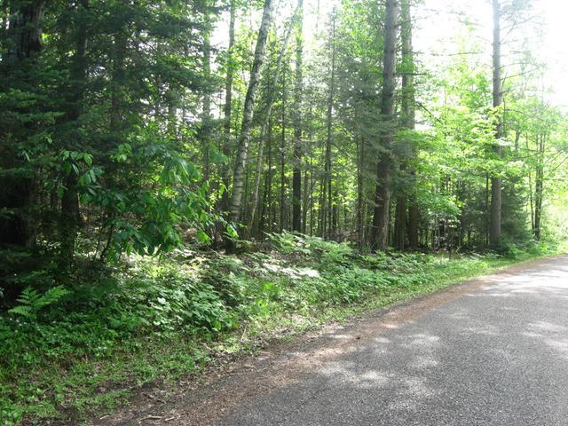 35 Mallard Park Road Presque Isle, WI 54557 - Photo 4 of 6 Gallery Image 4