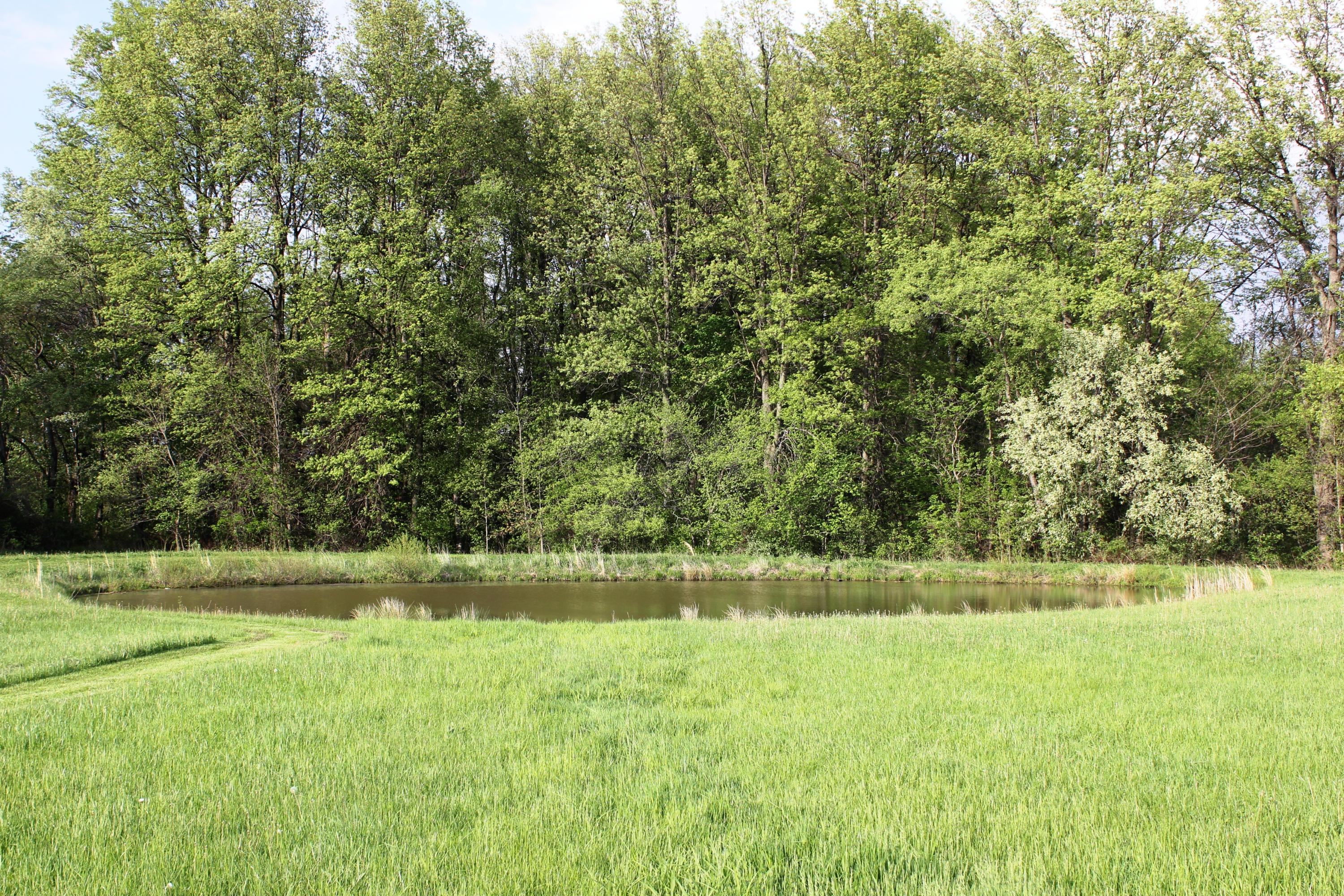 12121 Beacom Road Sunbury, OH 43074 - Photo 5 of 29 Gallery Image 5