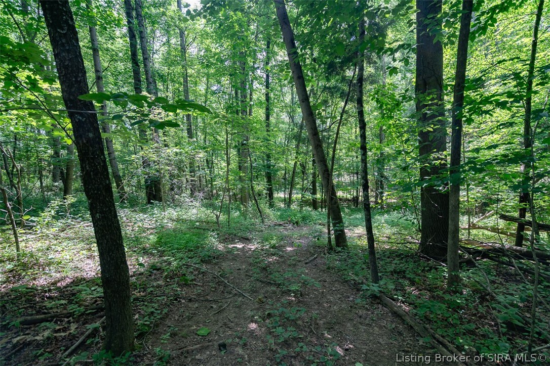 7587 Starlight Road Floyds Knobs, IN 47119 - Photo 94 of 99