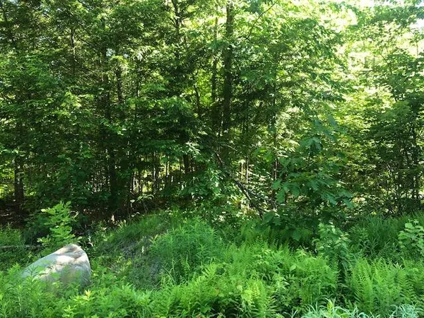 $225,000 | 0 Flag Cove Road, Dover-Foxcroft, ME 04426