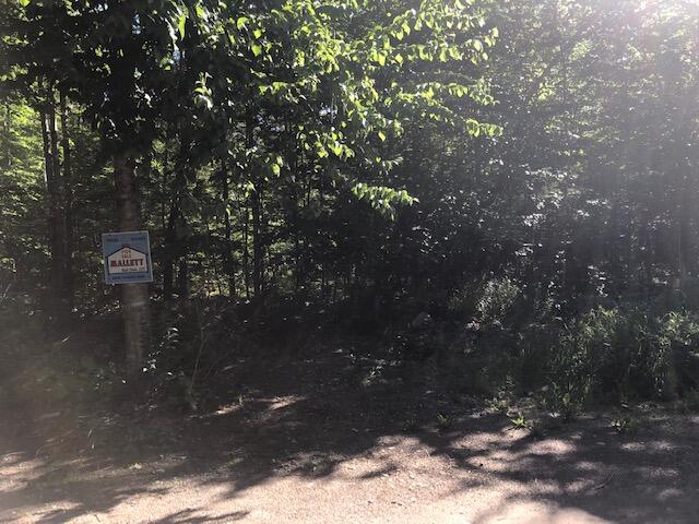0 Flag Cove Road Dover-Foxcroft, ME 04426 - Photo 3 of 3 Baker Lot 6.4 acres 2
