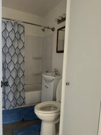 a bathroom with a toilet and a shower curtain