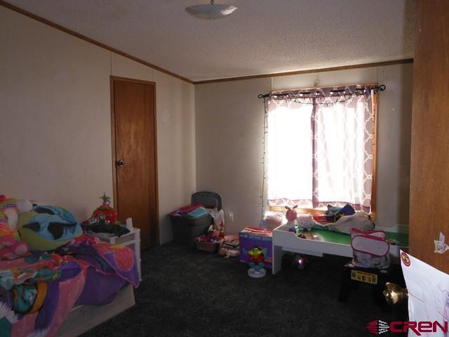 25255 Cactus Park Road Cedaredge, CO 81413 - Photo 5 of 11 a room with furniture toys and a window