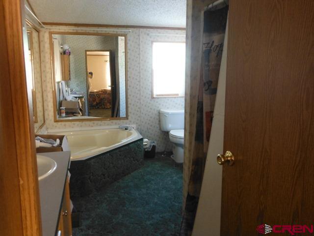 25255 Cactus Park Road Cedaredge, CO 81413 - Photo 8 of 11 a bathroom with a granite countertop sink mirror vanity and toilet