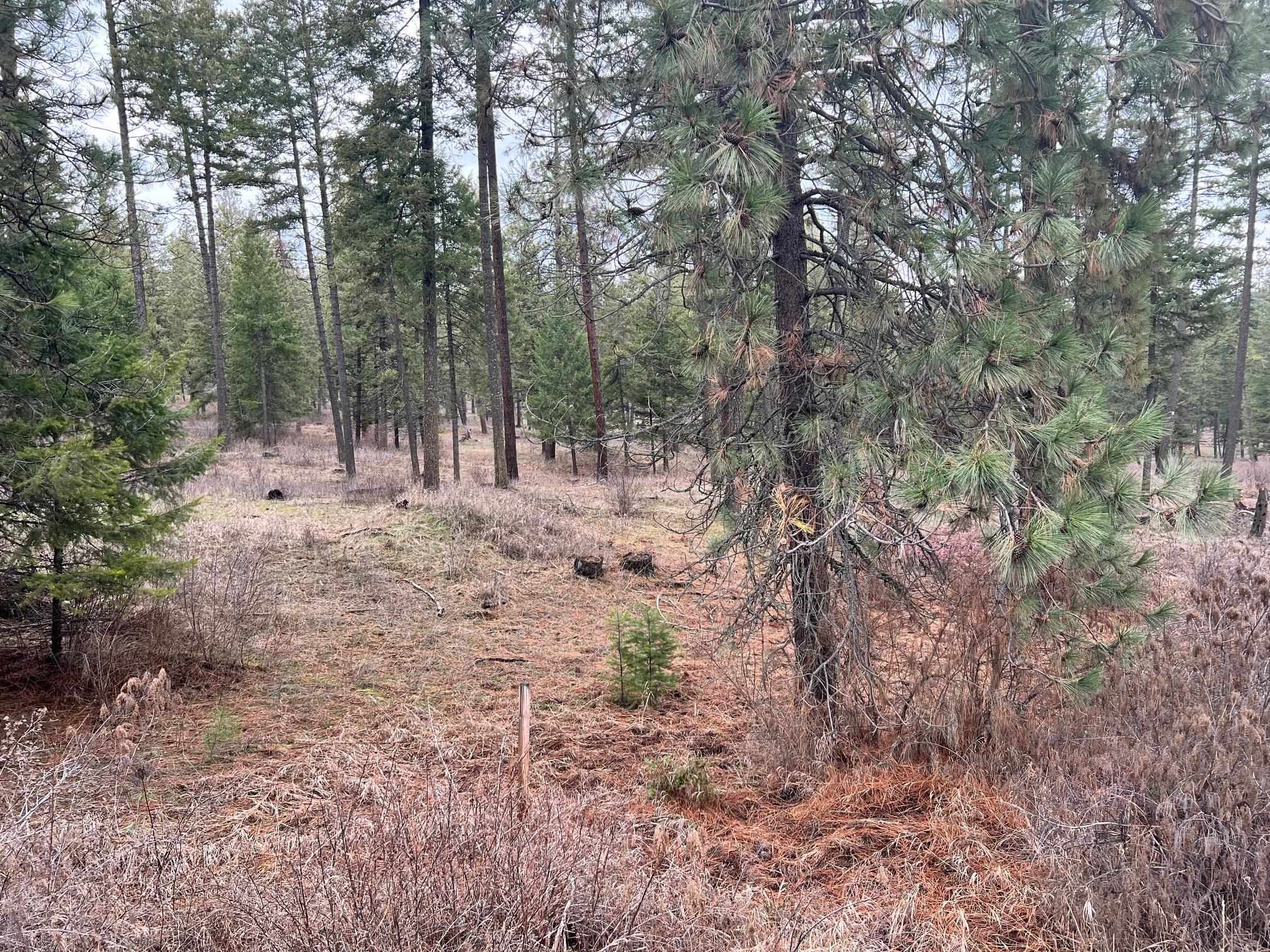 Nicholson Road Elk, WA 99009 - Photo 1 of 1 Gallery Image 1