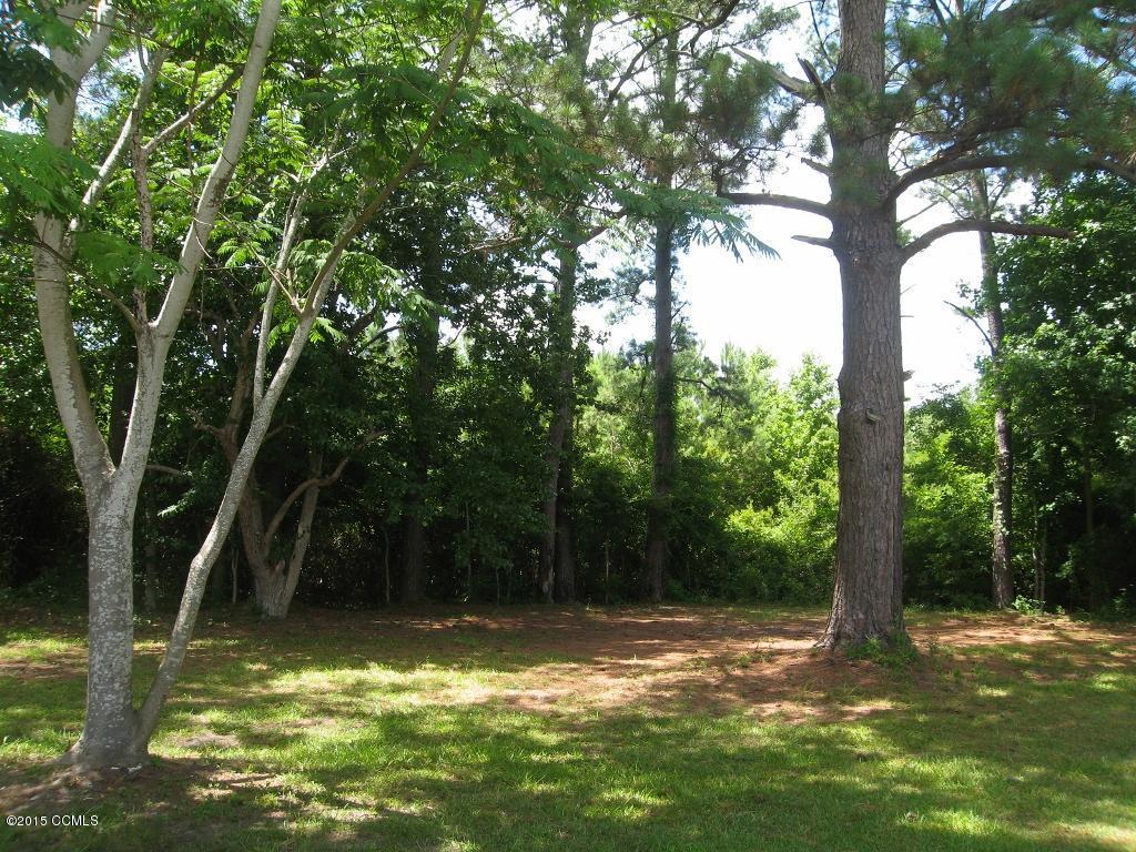 931 Old Winberry Road Newport, NC 28570 - Photo 17 of 19 IMG_2679 (1024x768)