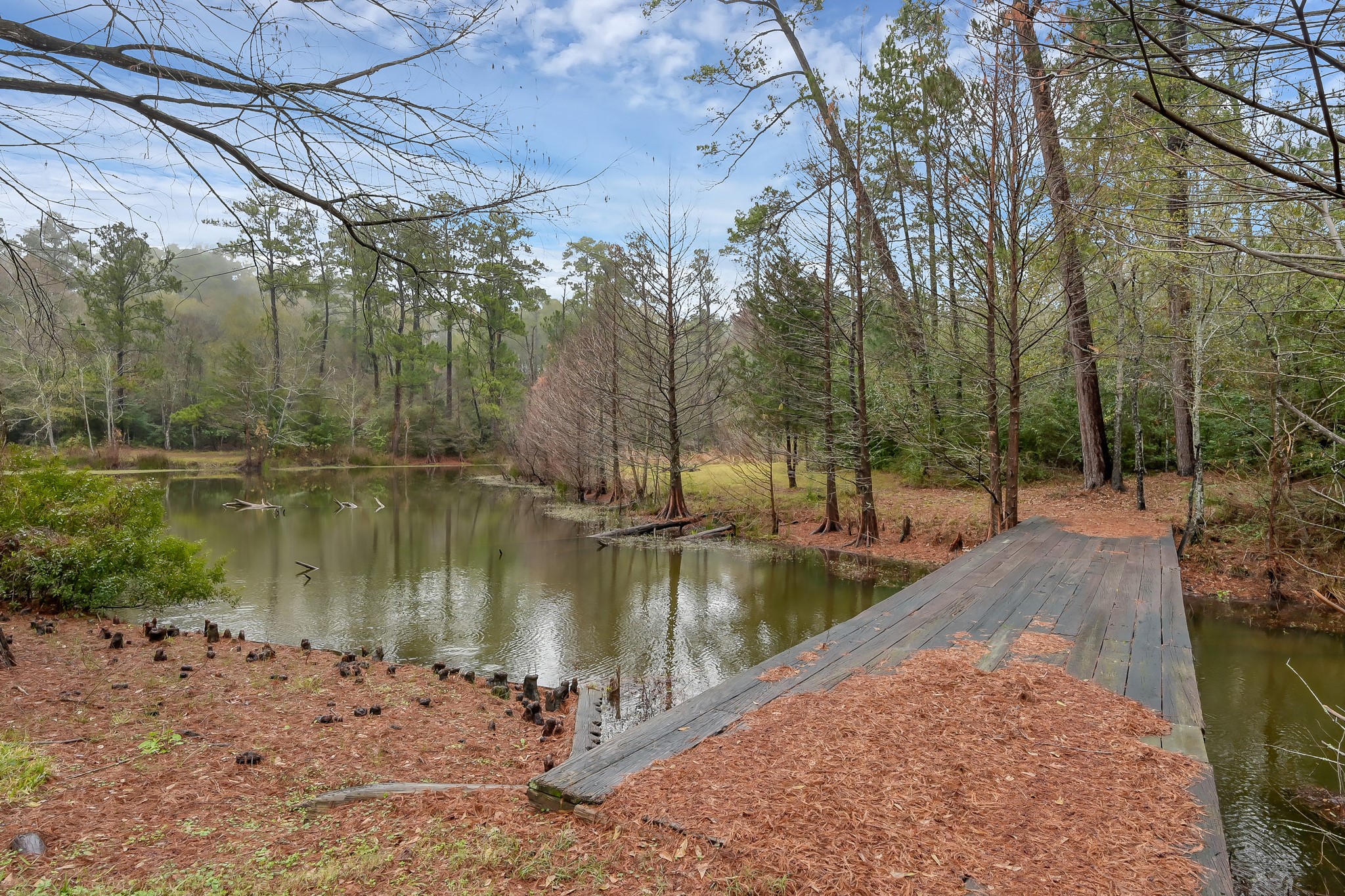 80 Nettie Phillips Road Coldspring, TX 77331 - Photo 39 of 49 Bridge to access additional pathways through the acreage.