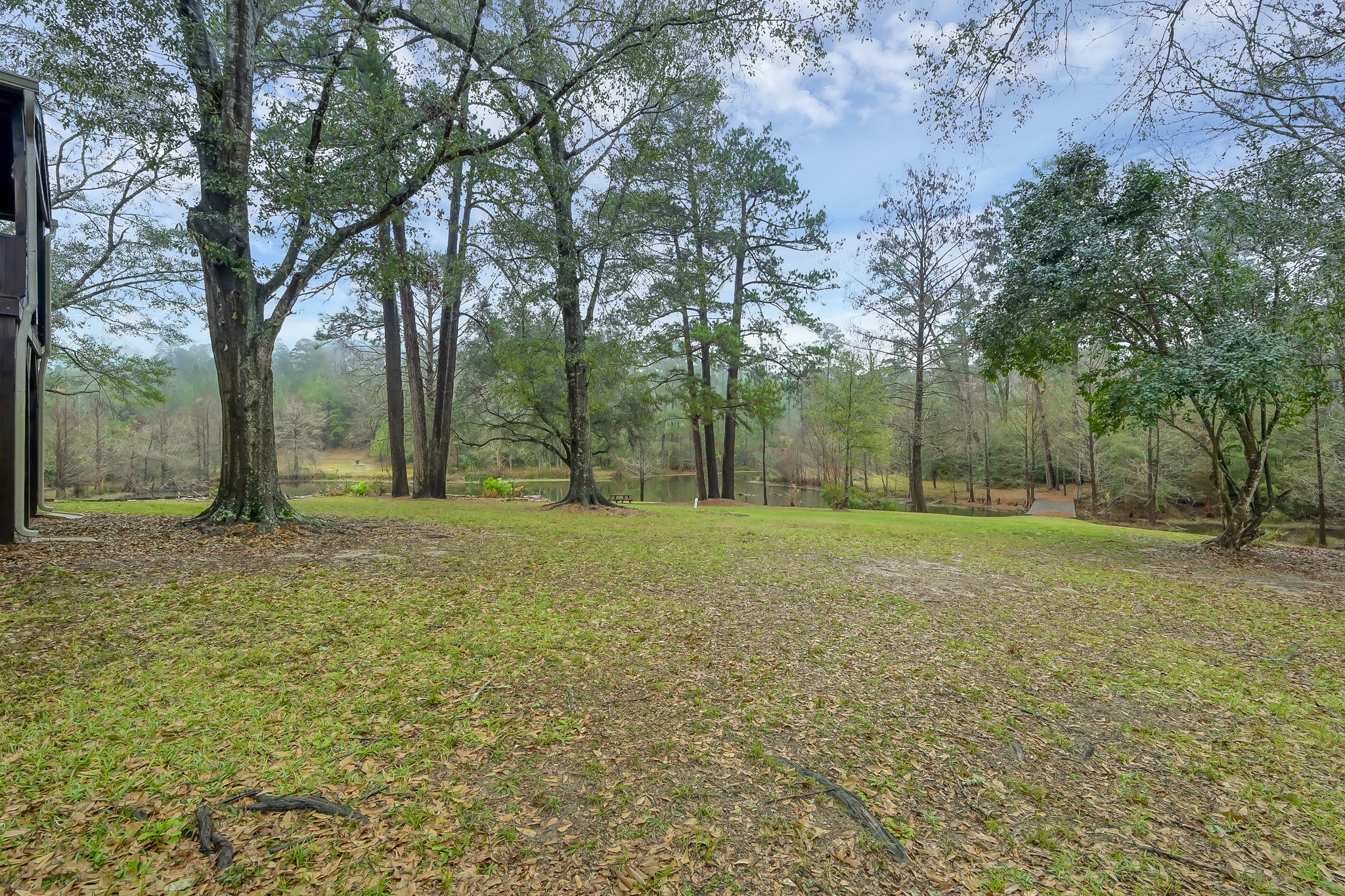 80 Nettie Phillips Road Coldspring, TX 77331 - Photo 42 of 49 Mature trees and cleared spaces make this home a special retreat for entertaining or hosting reunions.