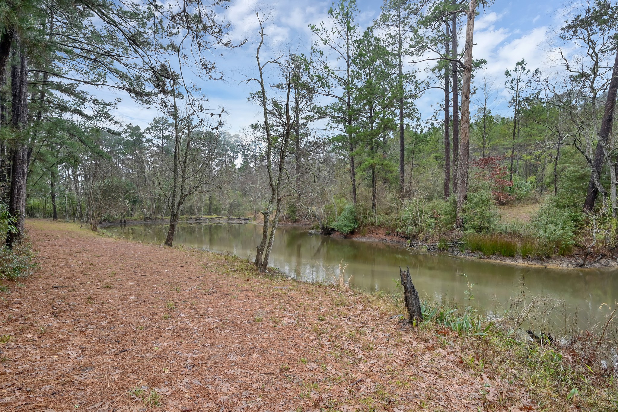 80 Nettie Phillips Road Coldspring, TX 77331 - Photo 48 of 49 Second Pond