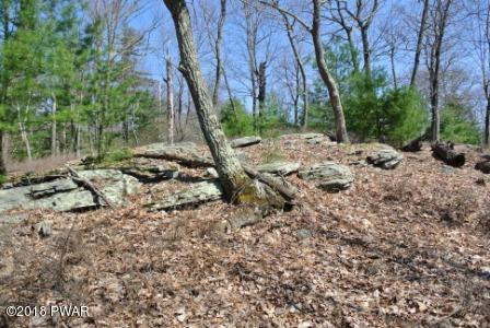 Pitch Pine Road Dingmans Ferry, PA 18328 - Photo 2 of 4