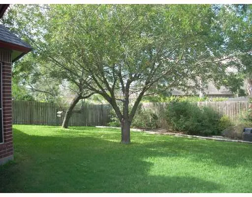 a view of a park with large trees