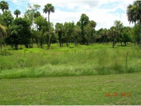 3335 Carter Road Mims, FL 32754 - Photo 2 of 12 Additional Photo