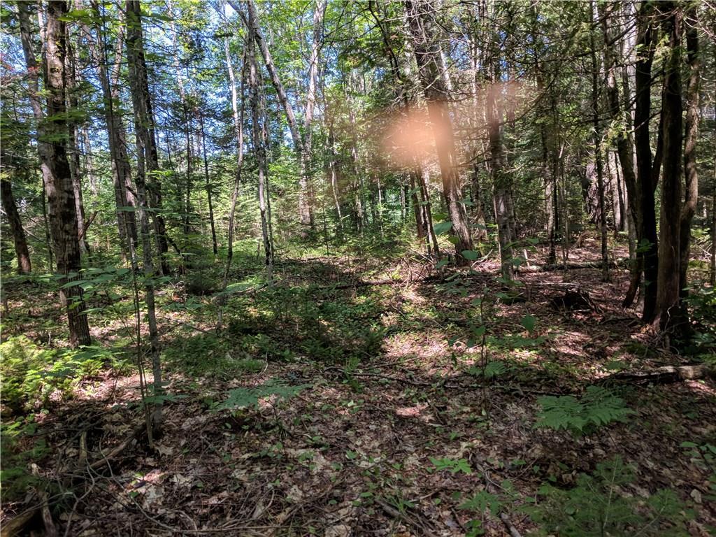 136 Gibbs Road Wiscasset, ME 04578 - Photo 11 of 17 Photo