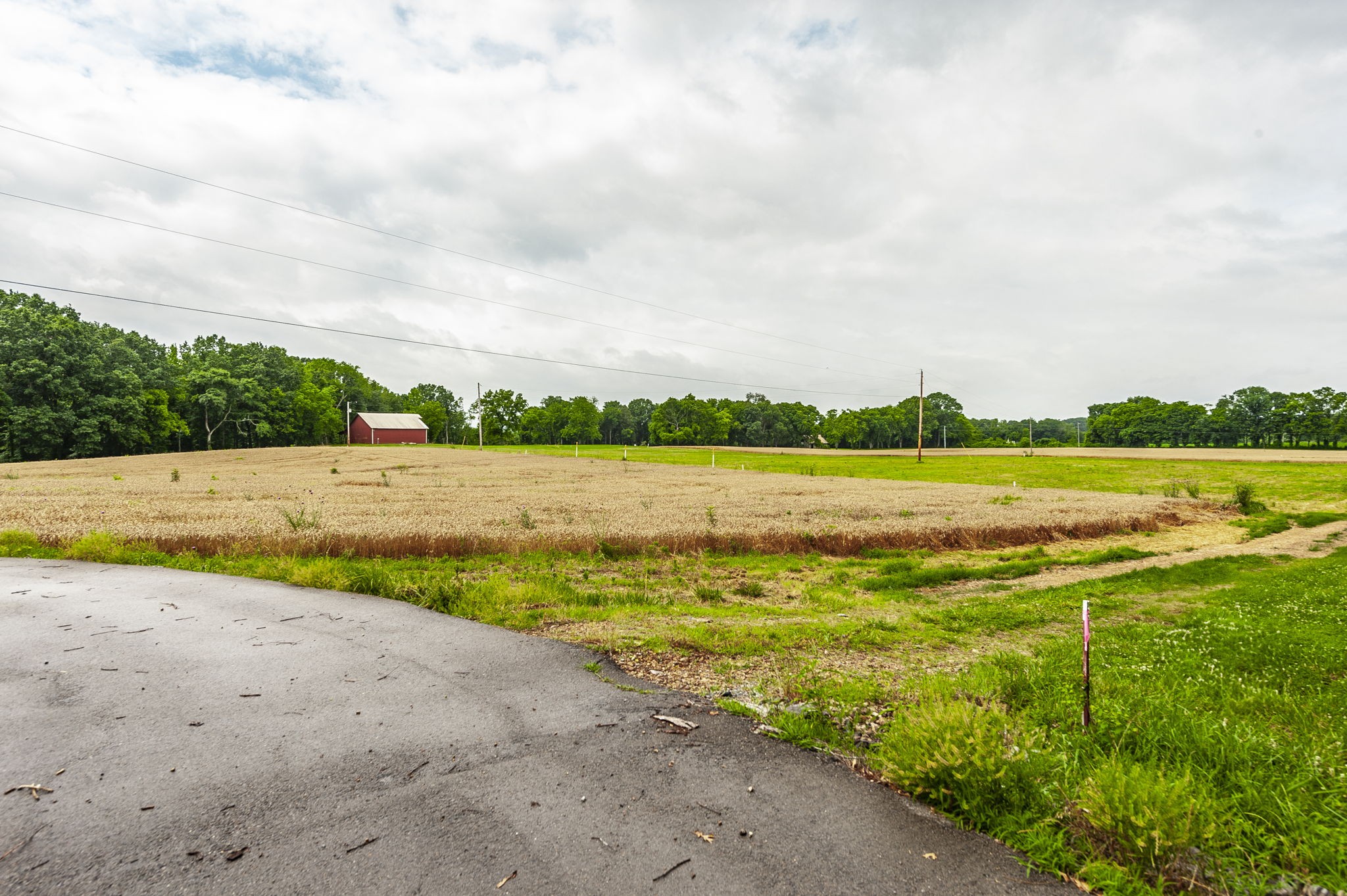 1113 East Robertson Road Castalian Springs, TN 37031 - Photo 41 of 56