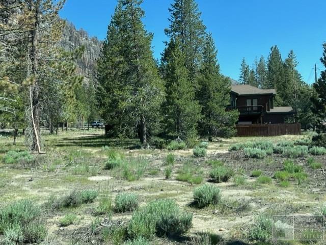 2263 Blitzen Road South Lake Tahoe, CA 96150 - Photo 3 of 8 a view of a lush green forest