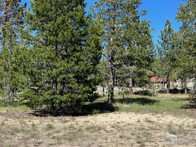 2263 Blitzen Road South Lake Tahoe, CA 96150 - Photo 5 of 8 a view of lake with houses