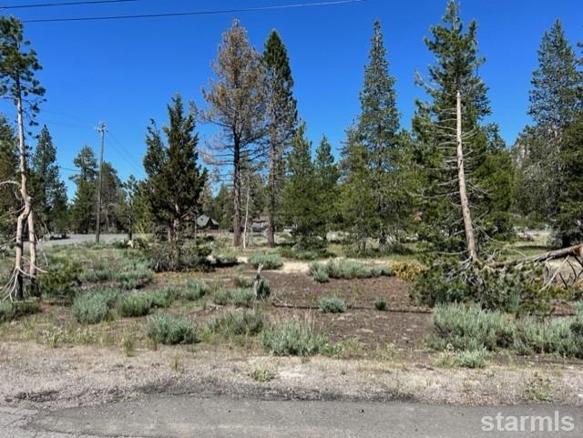 2263 Blitzen Road South Lake Tahoe, CA 96150 - Photo 8 of 8 a view of a dry yard with trees