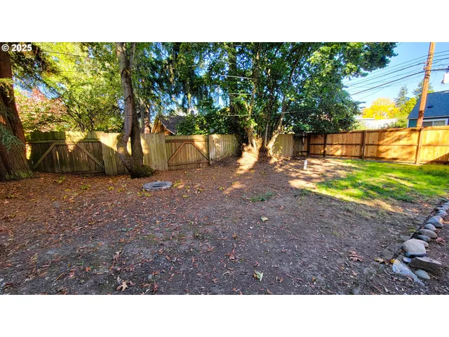 a open area with trees in the background