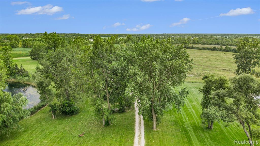29988 Armada Ridge Road Richmond, MI 48062 - Photo 19 of 25