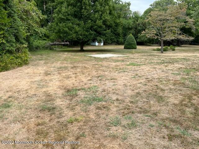 43 Lloyd Road Morganville, NJ 07751 - Photo 13 of 17 IMG_1207