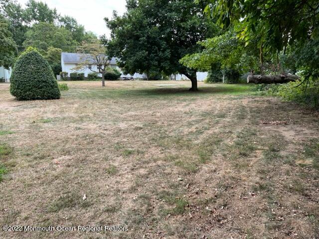 43 Lloyd Road Morganville, NJ 07751 - Photo 15 of 17 IMG_1209
