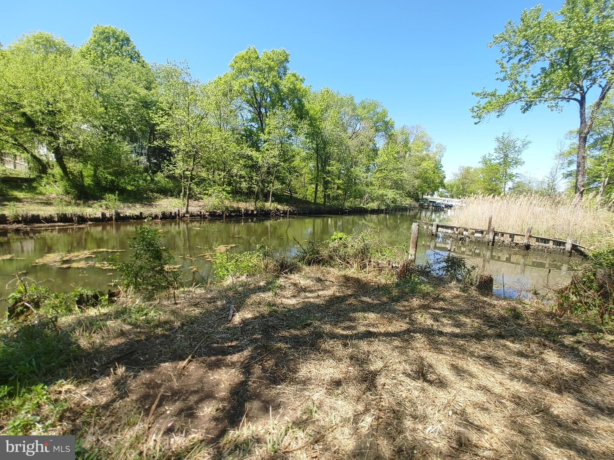 4180 Shoreham Beach Road Edgewater, MD 21037 - Photo 5 of 26 a view of a large body of water surrounded by trees
