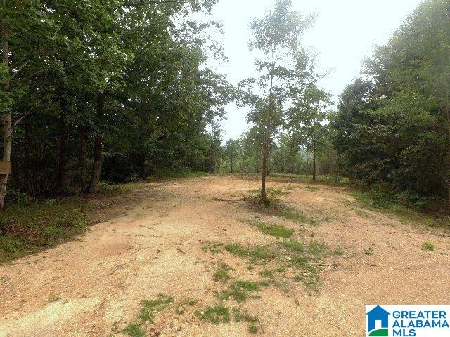 22-acres Clairmont Springs Road, Unit 22 ACRES Lineville, AL 36266 - Photo 3 of 16