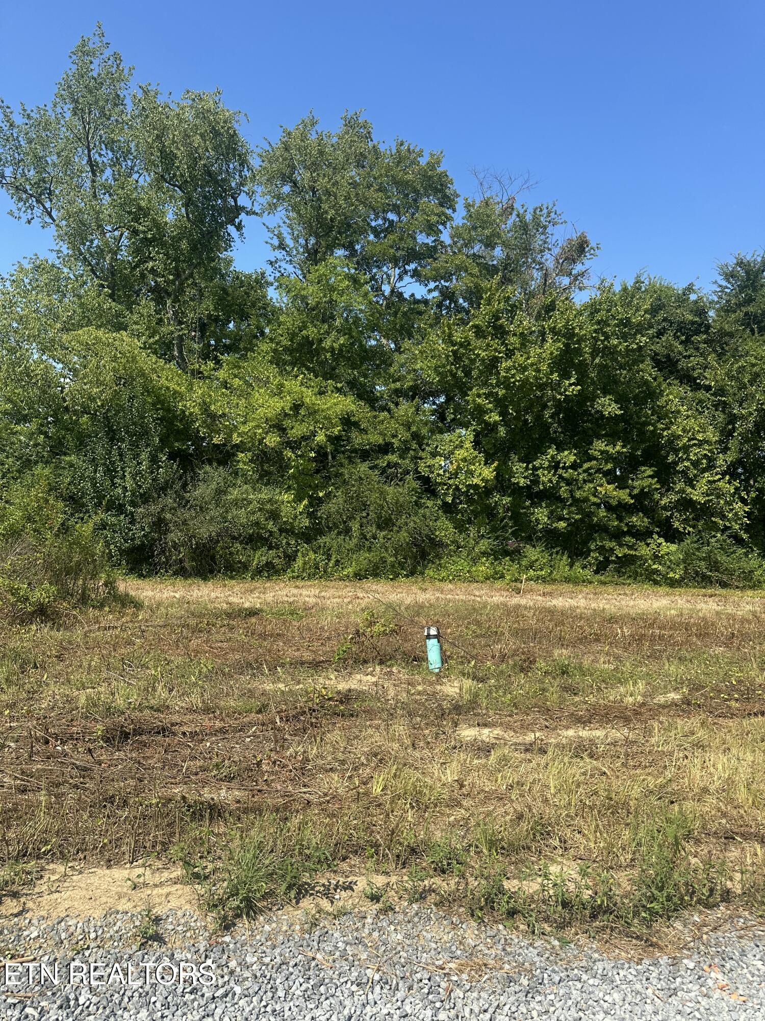 540 Henderson Road, Unit 35 Pigeon Forge, TN 37862 - Photo 2 of 59 Lot 35