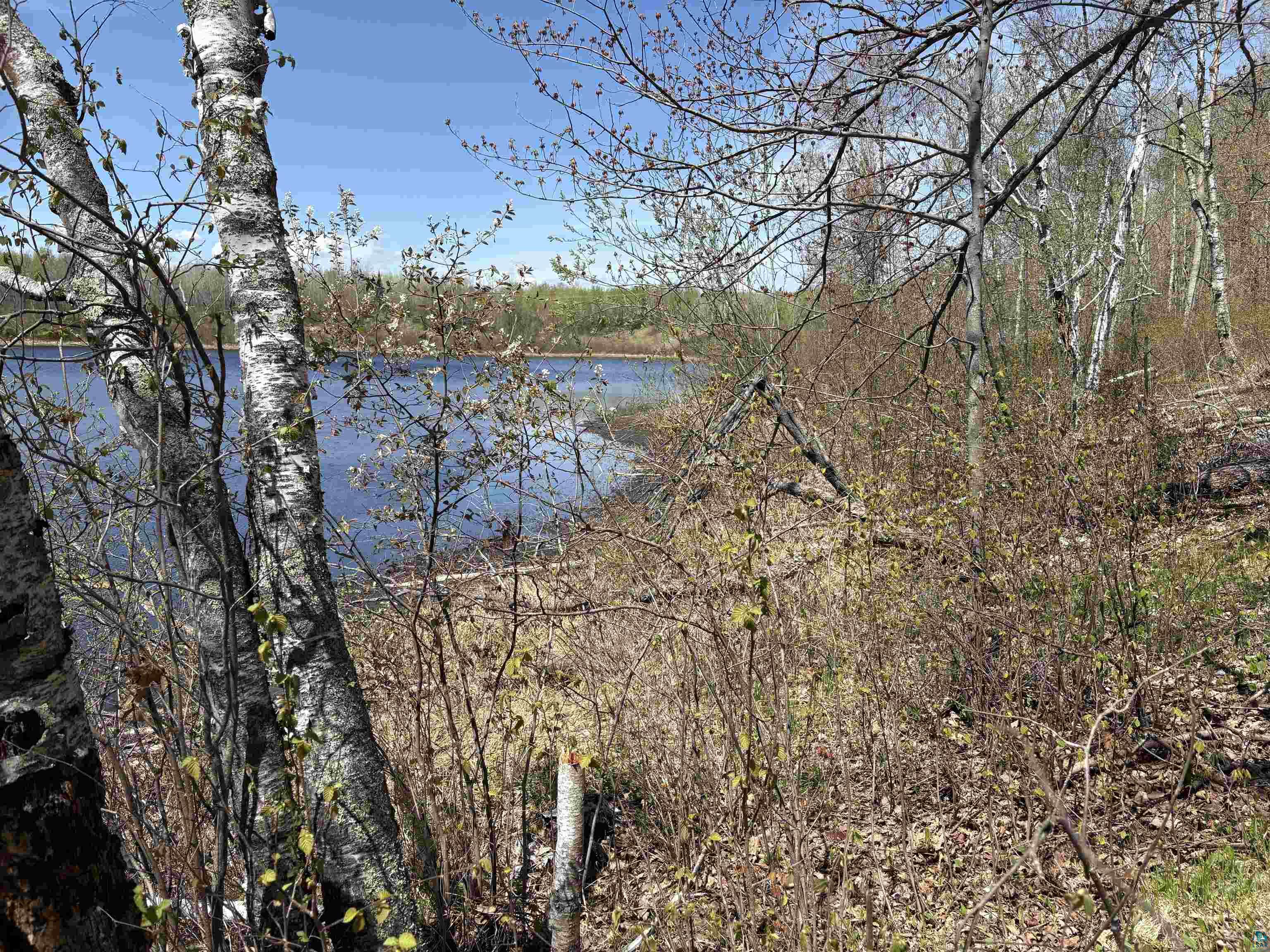 854 West Chub Lake Road Carlton, MN 55718 - Photo 2 of 6