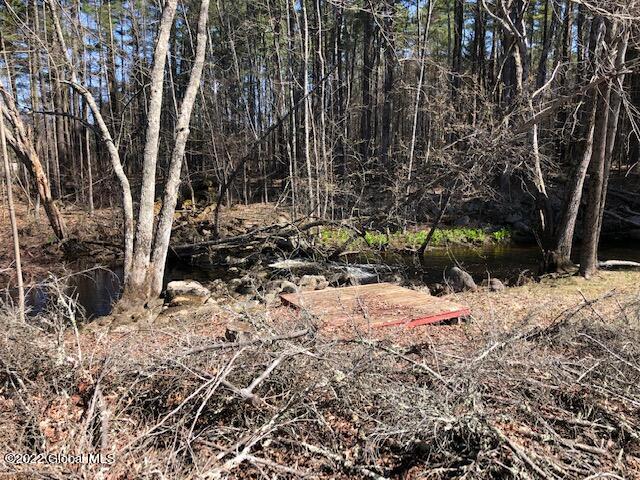 130 Yates Road Mayfield, NY 12117 - Photo 4 of 15 IMG_3894