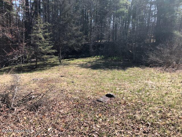 130 Yates Road Mayfield, NY 12117 - Photo 5 of 15 IMG_3895