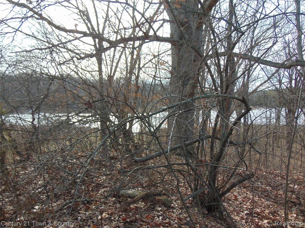 0 Taylor Lake Road Pontiac, MI 48342 - Photo 8 of 10