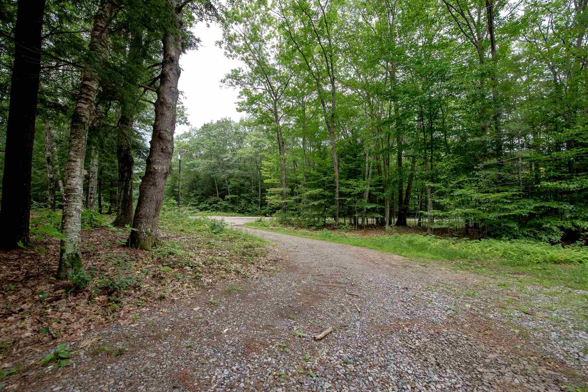 981 Buffalo Road Rumney, NH 03266 - Photo 29 of 33