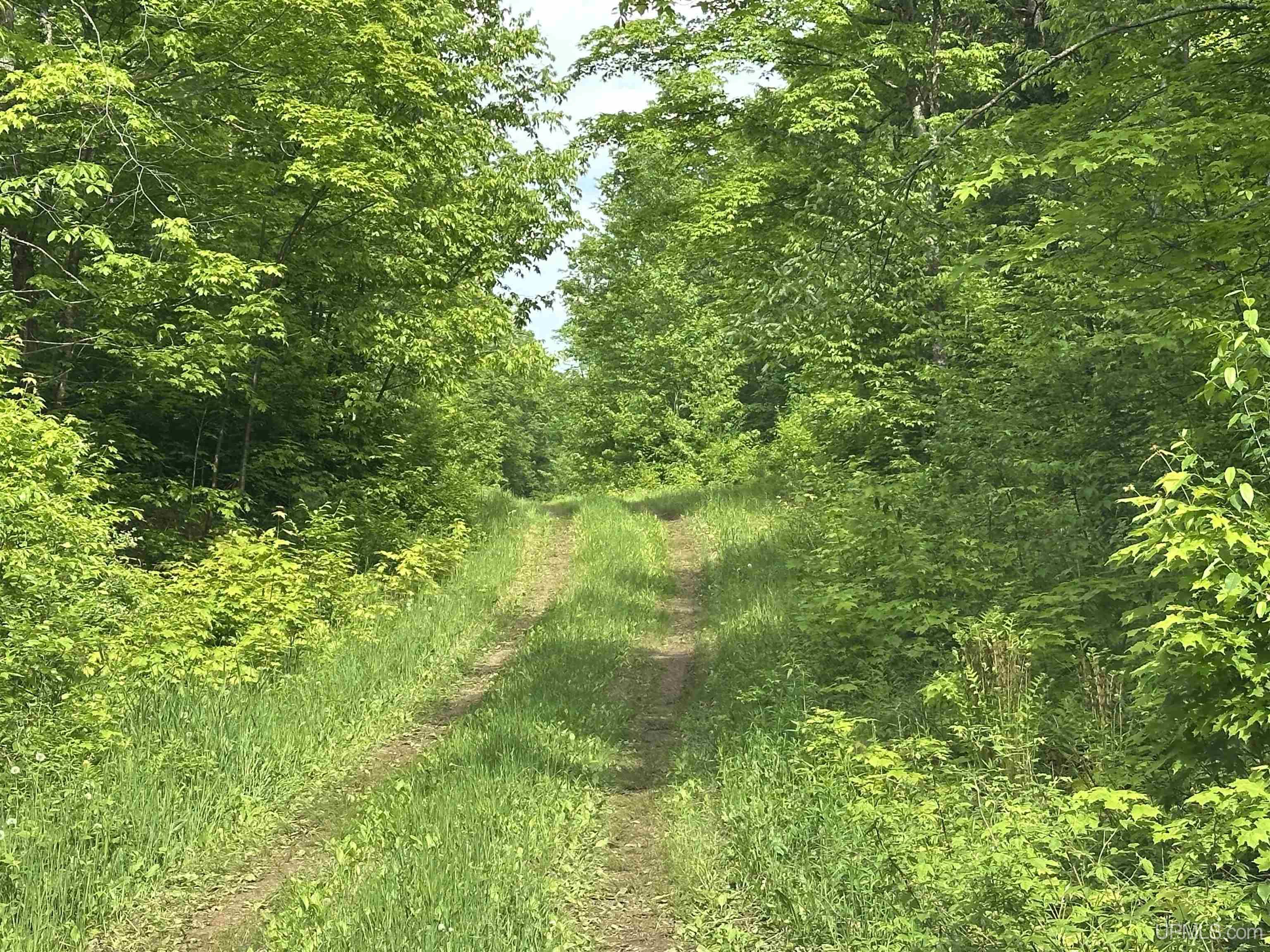 6 Camp 6 Road Ironwood, MI 49938 - Photo 38 of 50