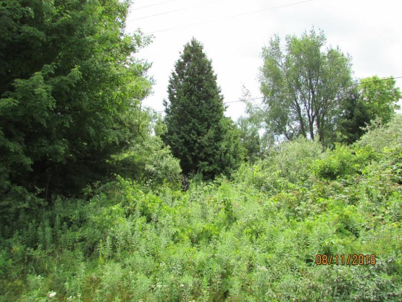 Tbd Harrington Road Lexington, MI 48450 - Photo 2 of 8
